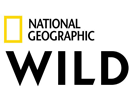 NL: NAT GEO WILD HD