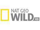 IT: NAT GEO WILD HD