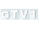 AF: Guinee TV 1